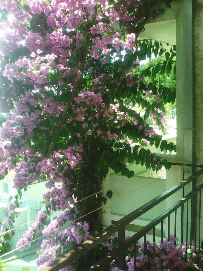 Apartmani Ivona Podgora Extérieur photo